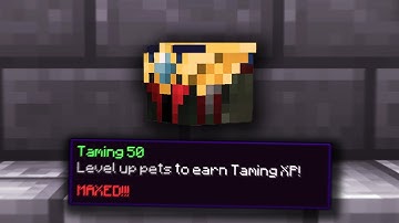 *NEW* Best Taming 50 Method! (hypixel skyblock)