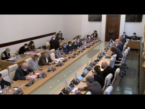 „ქართულ ოცნებას“ ეშინიაო, და რისი გვეშინია?! -კამათი უკრაინის მხარდამჭერ რეზოლუციაზე ბიუროს სხდომაზე