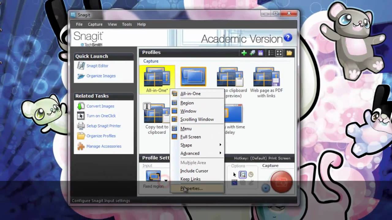 Webcam Integration Tutorial