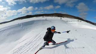 Cross country ski skating