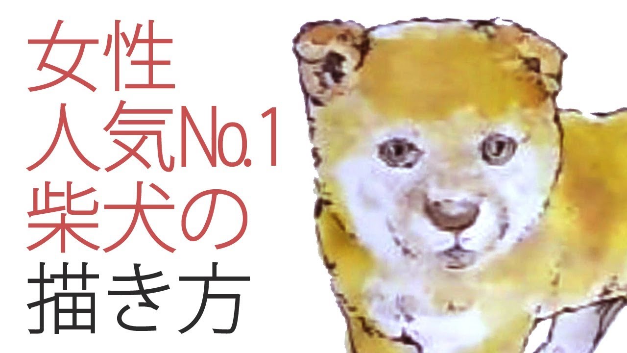 柴犬の描き方 水彩絵具とペン 解説 雑学付 How To Draw Dog Shibainu Youtube