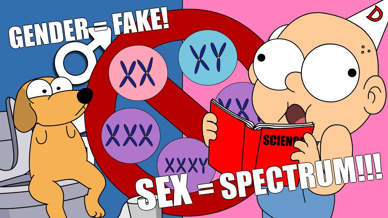 The woke guide to gender