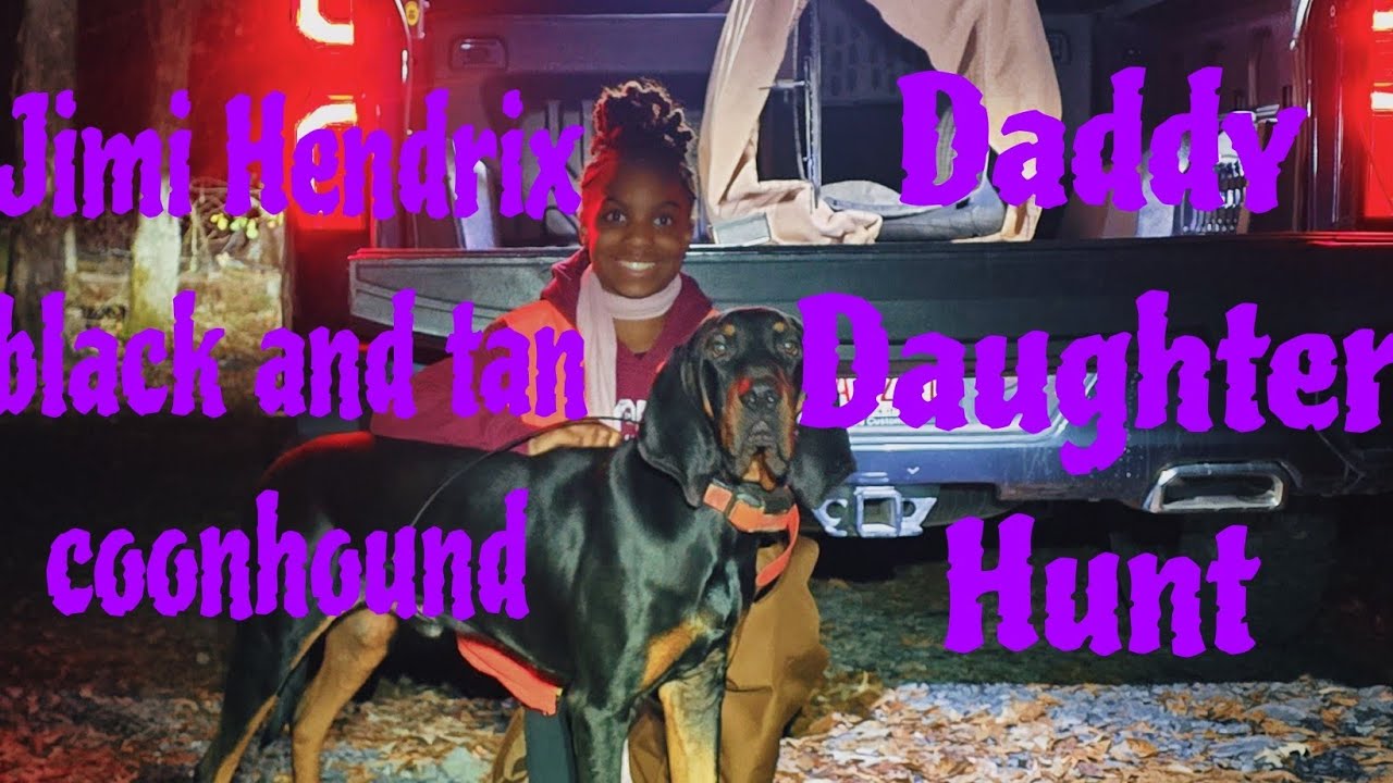 Jimi Hendrix black and tan coonhound daddy daughter hunt.