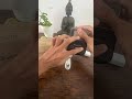 Purchi Mobile Printer