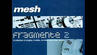 mesh - in the light of the day