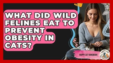 What Did Wild Felines Eat To Prevent Obesity In Cats? - Happy Cat Handbook