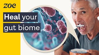Gut microbiome testing: What can it reveal about your health? | Profs Tim Spector and Nicola Segata