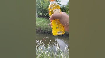 thả câu chai nước #shots #fishing #cauca