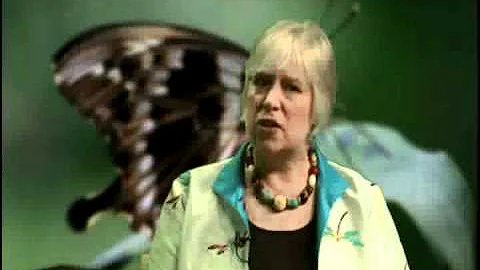 Karma Kitaj Interviews Deborah Crane
