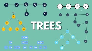 Data Structures and Algorithms | Trees | AVL Tree | B Tree | BST | Splay Tree