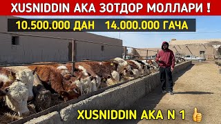 XUSNIDDIN АKA ЗОТДОР МОЛЛАРИ ХОРАЗМ БУ́ЙЛАБ ДАСТАВКА !!! ХОРАЗМ БОЗОР