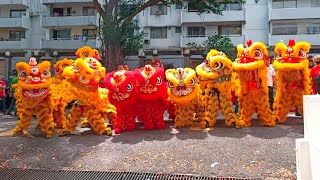 Lion & Dragon Dance Parade