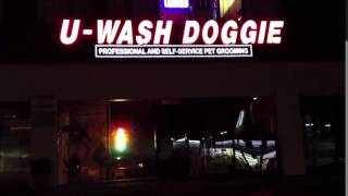 u wash doggie near me