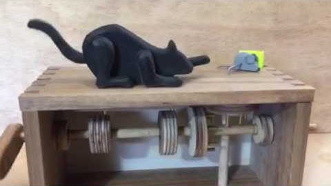 Cat and mouse automata