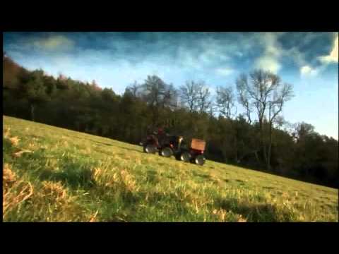 Top Gear - Fenton the Dog