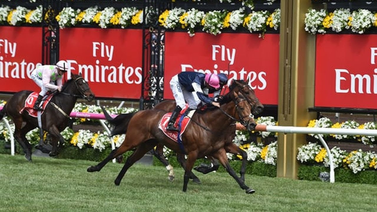 Rekindling wins Melbourne Cup as jockey Corey Brown claims second success