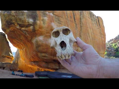 Beta Video for climb Electric copper v11, Rocklands