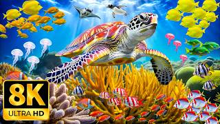 Aquarium 8K (VIDEO ULTRA HD) - Captivating Beauty of Coral Reef Fish - Soothing Meditation Music