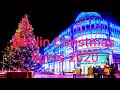 #Dublin🚶‍♂️Walking in Dublin to see Christmas decoration in December 2020☃️🚶‍♂️
