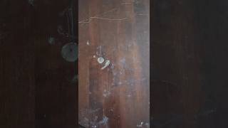 Brušenje I Priprema Stolića 1. Dio -