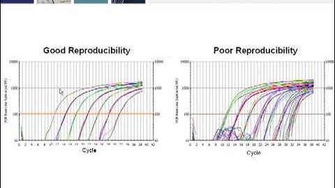 Key Steps for Generating Real-Time PCR Data that Conforms to MIQE Guidelines, Part 3 of 4