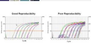Key Steps for Generating Real-Time PCR Data that Conforms to MIQE Guidelines, Part 3 of 4