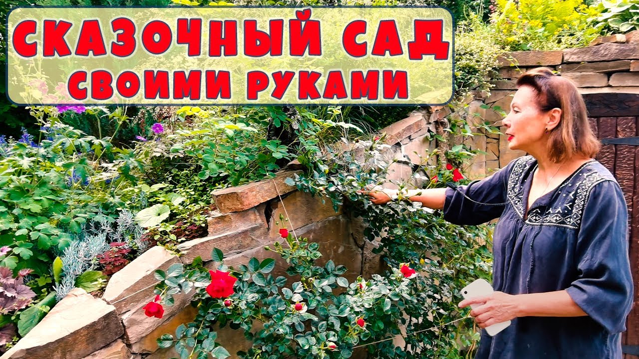 Смотреть видео
