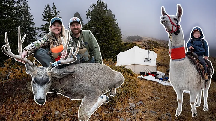 BUCK DOWN on Public Land | Backcountry Deer Huntin...