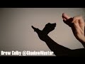 Flying bird hand shadow tutorial