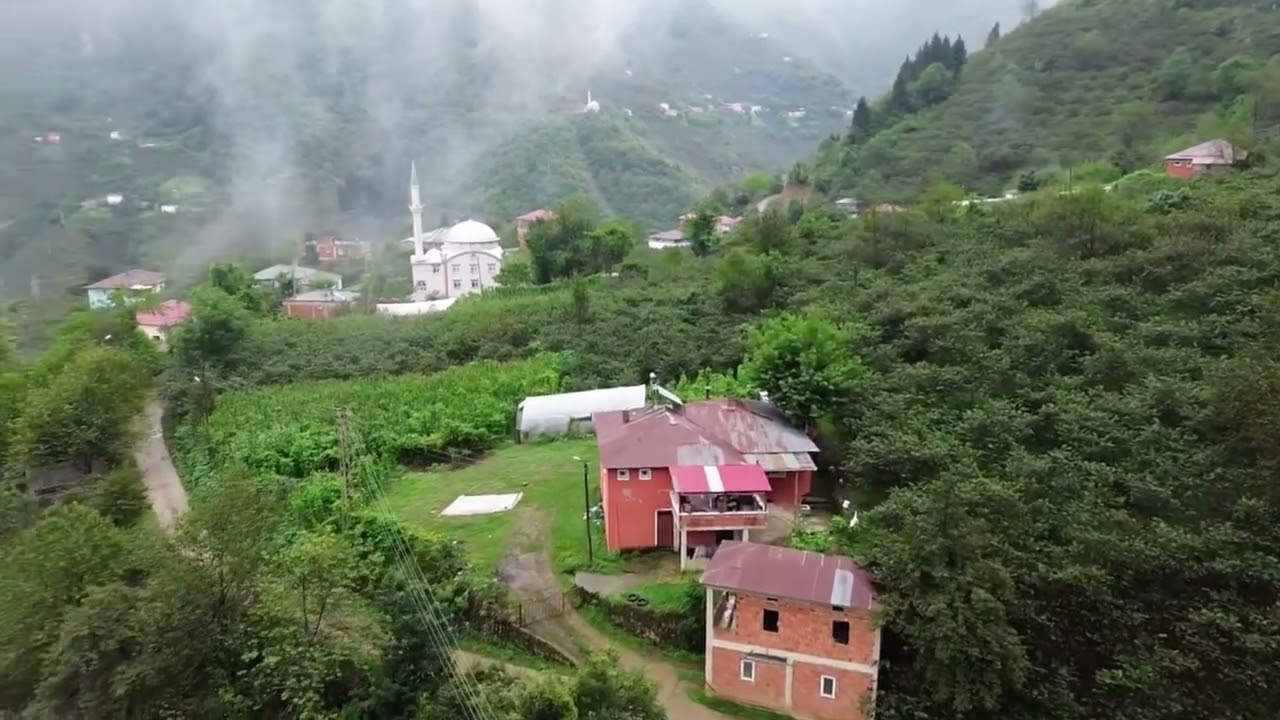 Giresun Bulancak Kovanlık Belediyesi Düz Mahalle #trending #travel #fyp #doğa #nature #shorts #drone