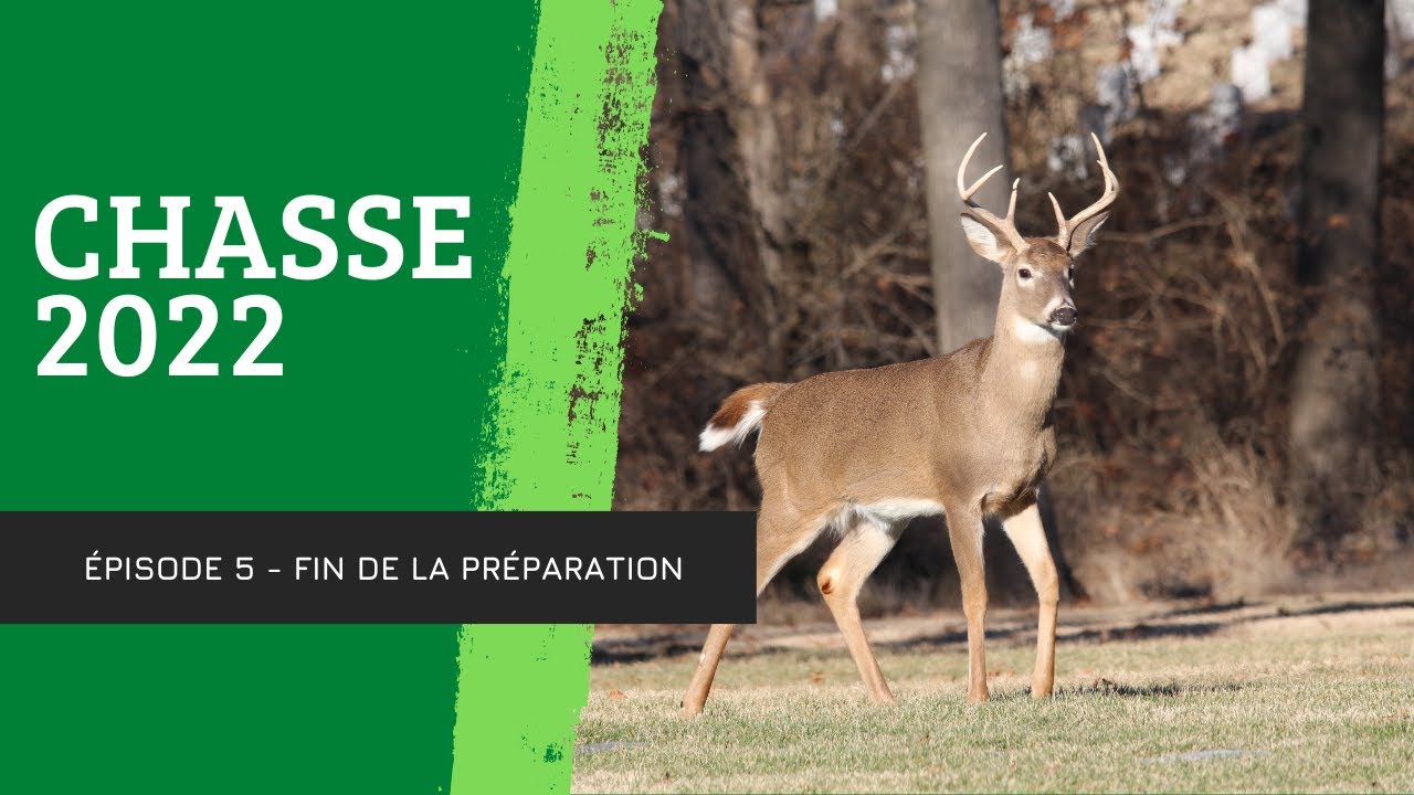 Chasse chevreuil 2022 Fin de la préparation (Ep.5) - YouTube