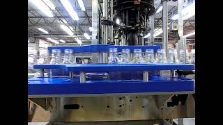 Down Bottle Reject System