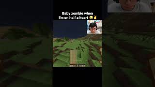 Minecraft Baby Zombie Moment