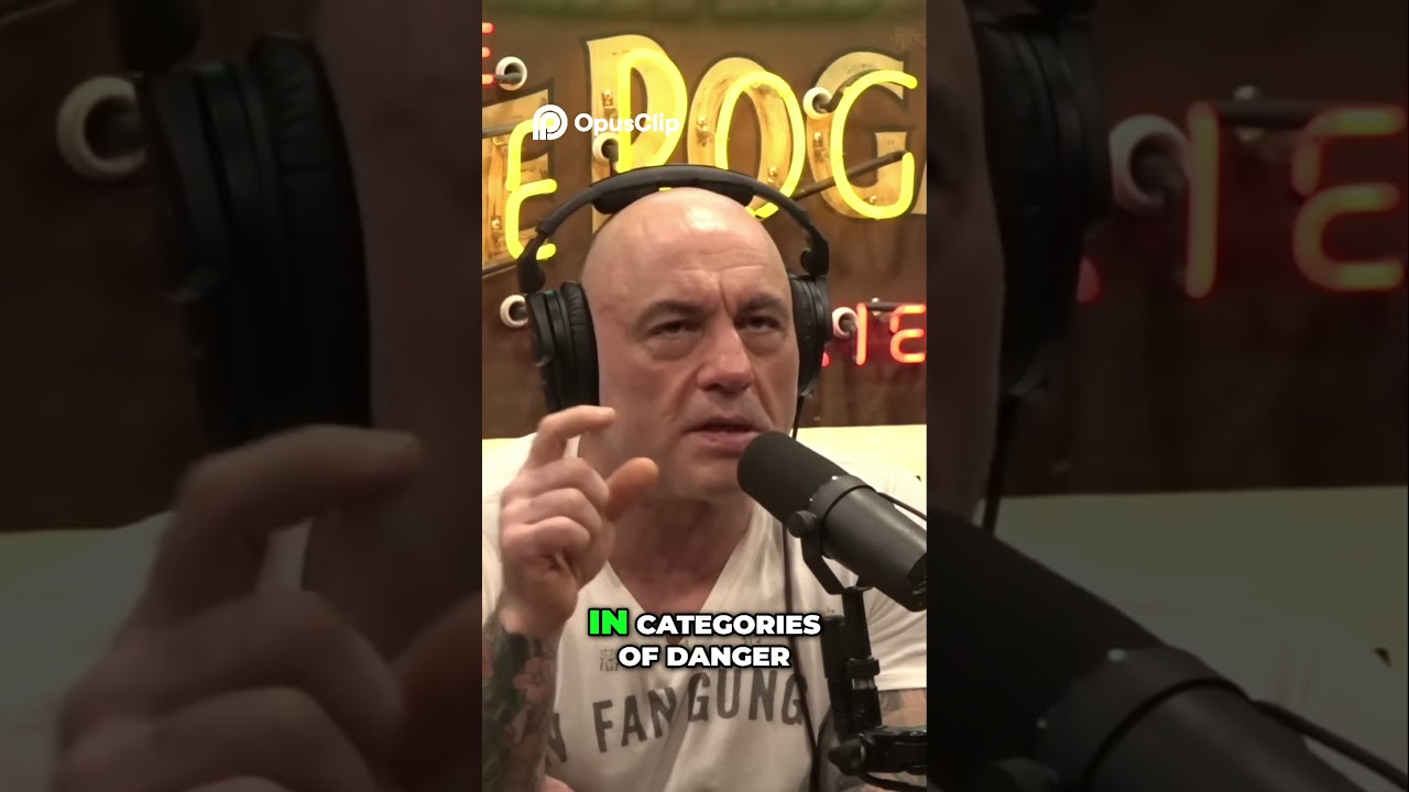 The Complete Fighter  Mastering MMA Like Never Before!