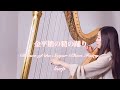 Tchaikovsky / Dance of the Sugar Plum Fairy 『The Nutcracker』- Harp チャイコフスキー / 金平糖の精の踊り【藝大生がハープで演奏】