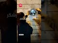 دیوار گرافیتی مهسا امینی و نیکا شاکرمی توسط دو دختر