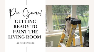 Before - I Paint my Living Room and Kitchen WHITE! (Part 1) #painting #paint #viral #diy #dogs by DIY MY RURAL LIFE! 32 views 9 months ago 21 minutes