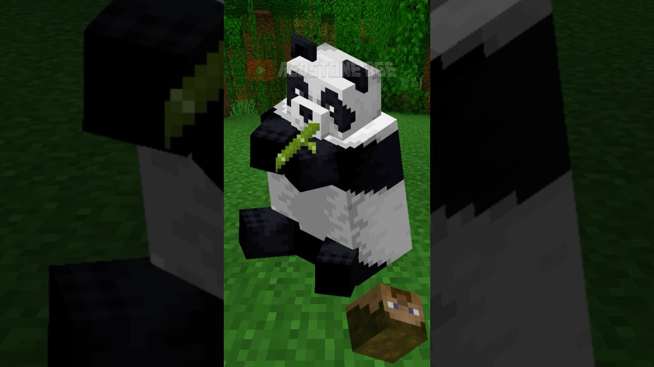 Pun(ch) Of The Week (Ep. 3) - Panda  