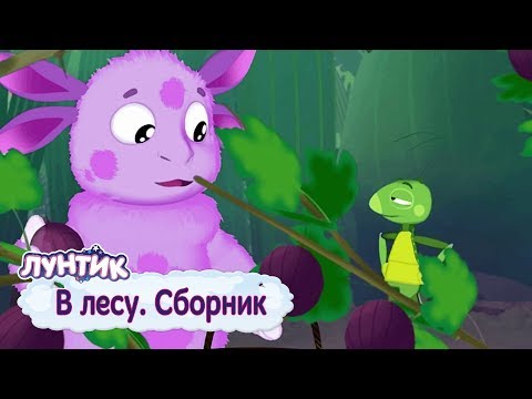 В лесу | Лунтик | Сборник мультфильмов для детей