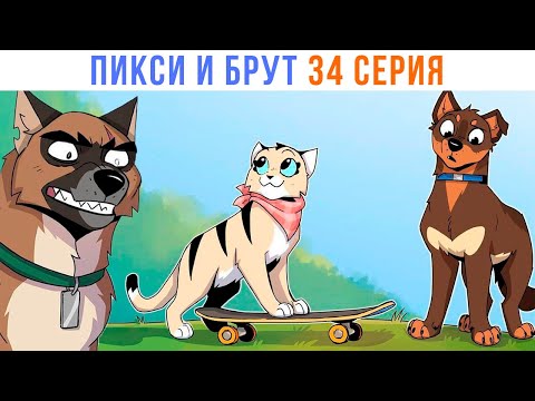 ПИКСИ И БРУТ.
