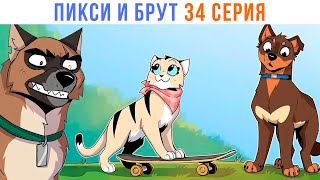 картинка: ПИКСИ И БРУТ. 34 серия. Комиксы | Мемозг 1419