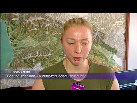 სტიქია ჭუბერში - სპეციალისტების შეფასება