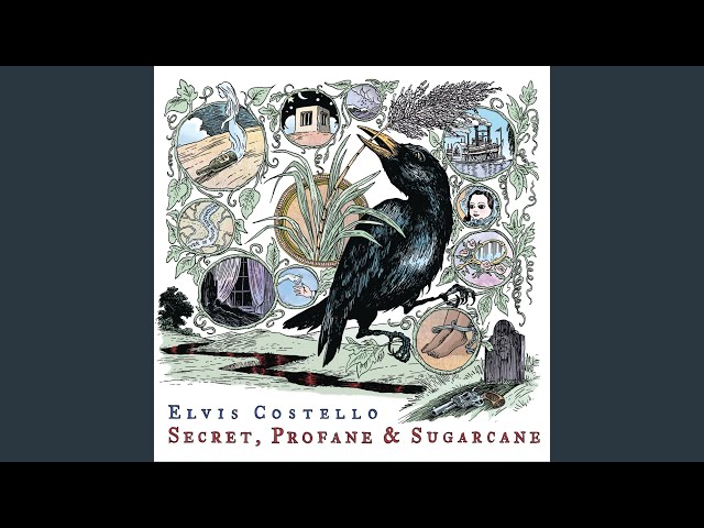 Elvis Costello - Down Among The Wines & Spirits