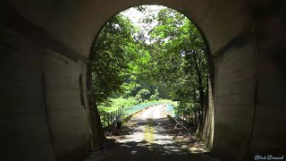 Traveling along a mysterious unfinished railway line] A midsummer