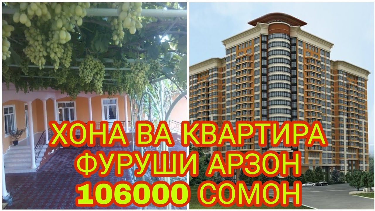 Аренда машин дар душанбе