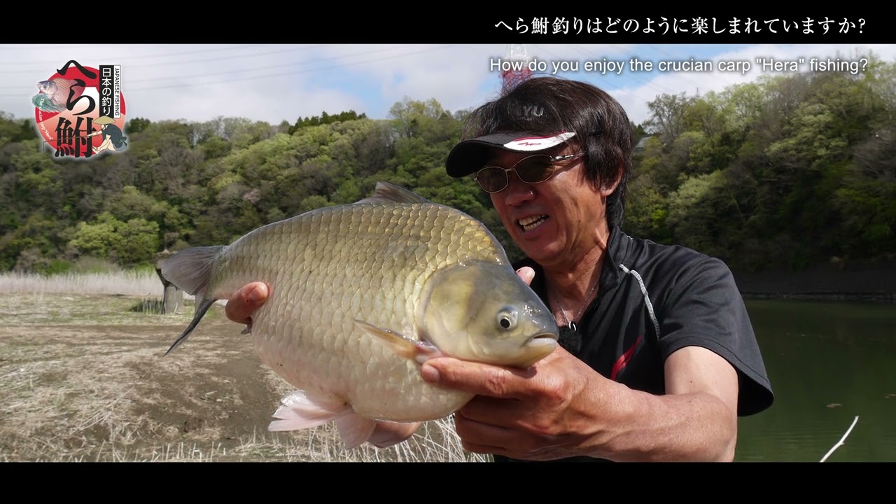 日本の釣り「へら鮒」  /Japanese fishing 