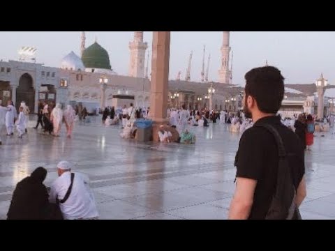 نشيد سكنت قلوب كل المسلمين