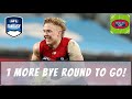 AFL Fantasy 2023 Round 14 review