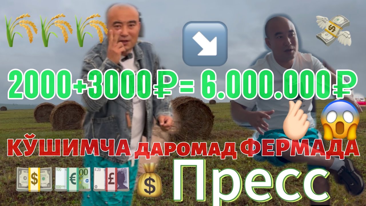 Пресс Орқали Миллионлар даромад#чорвачилик #ферма #узбекистан #киргизия #прессподборщик 🫰🏻💰