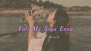 Yali Ma Soya Enna / Slowed + Reverb